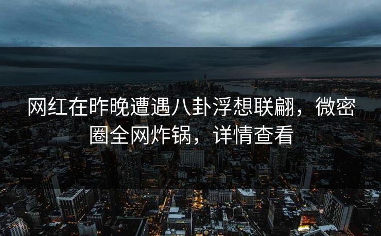 网红在昨晚遭遇八卦浮想联翩，微密圈全网炸锅，详情查看