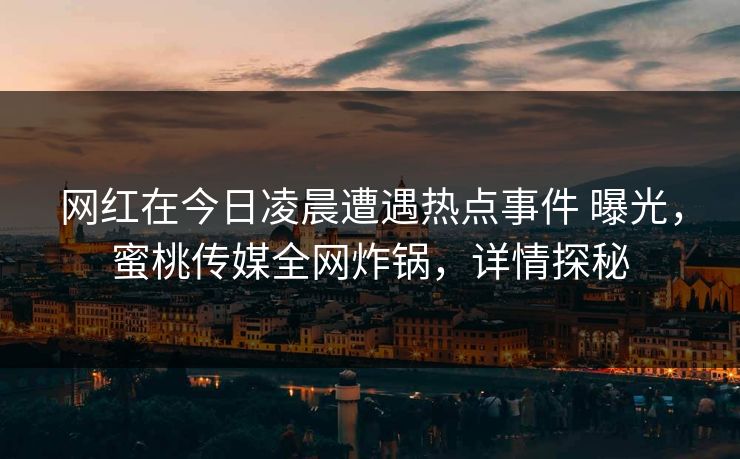 网红在今日凌晨遭遇热点事件 曝光,蜜桃传媒全网炸锅,详情探秘
