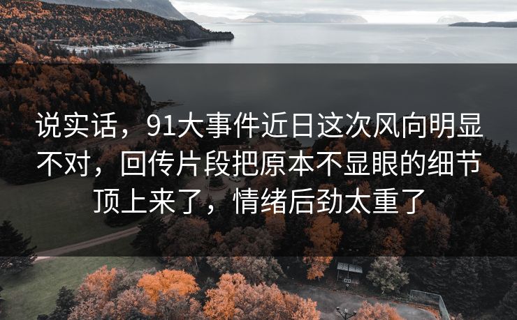 说实话，91大事件近日这次风向明显不对，回传片段把原本不显眼的细节顶上来了，情绪后劲太重了